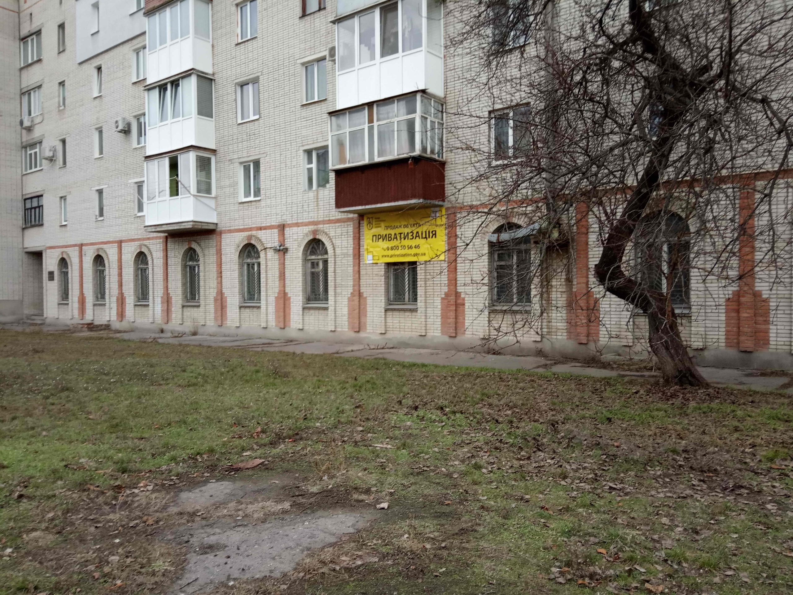 стомат Охтирка Київська 96 фото (1)