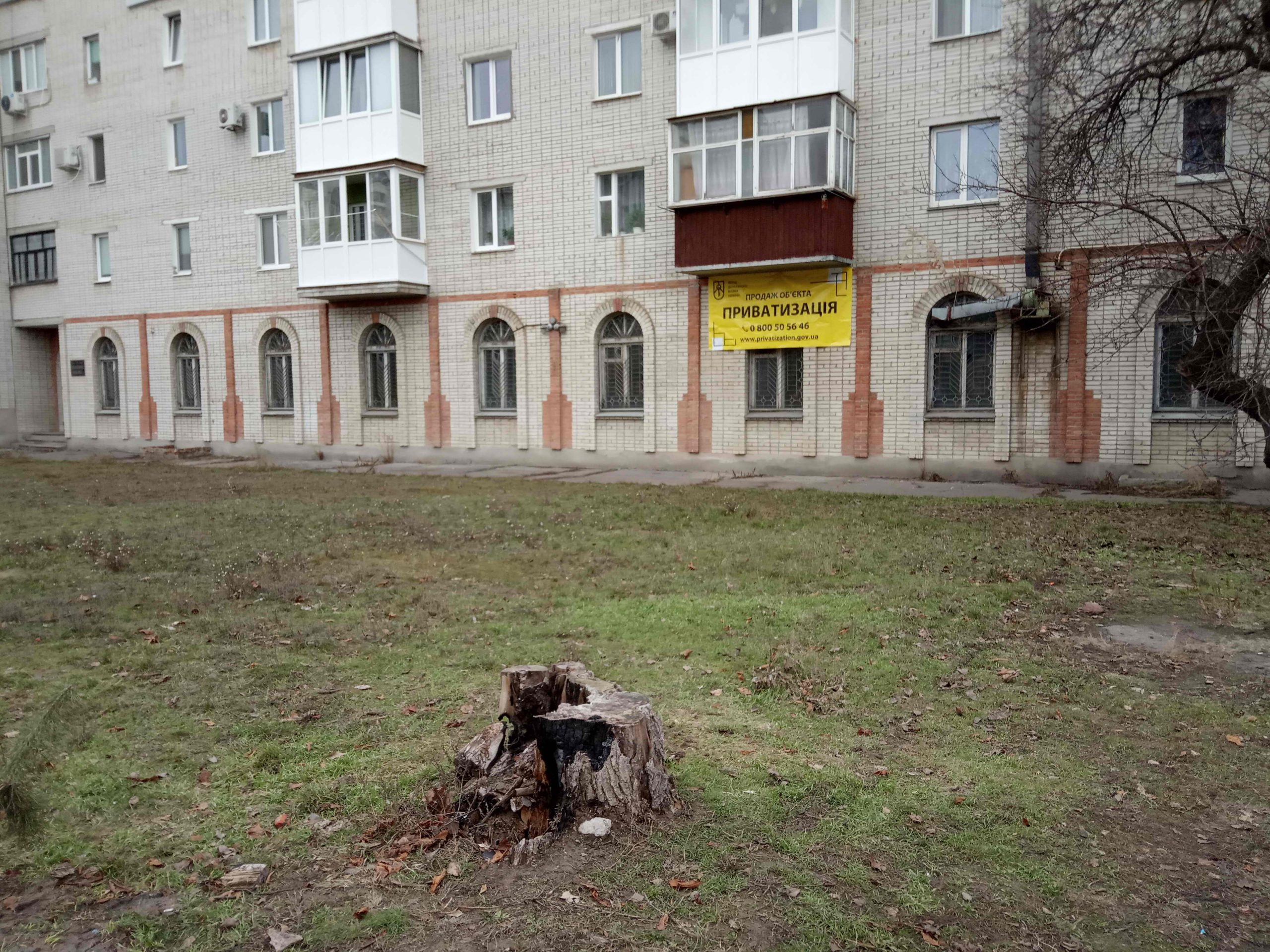 стомат Охтирка Київська 96 фото (27)