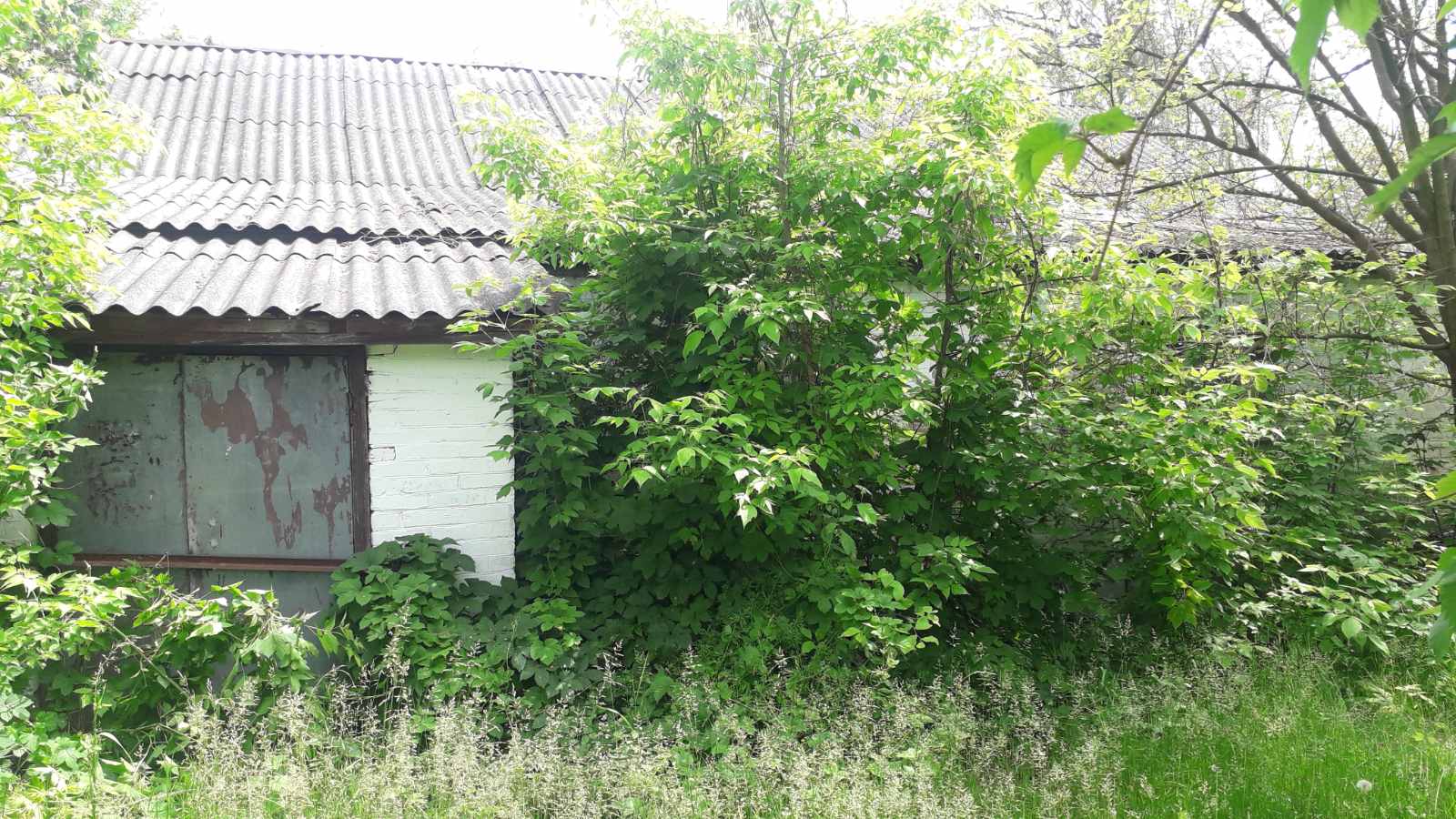 фото будівля
