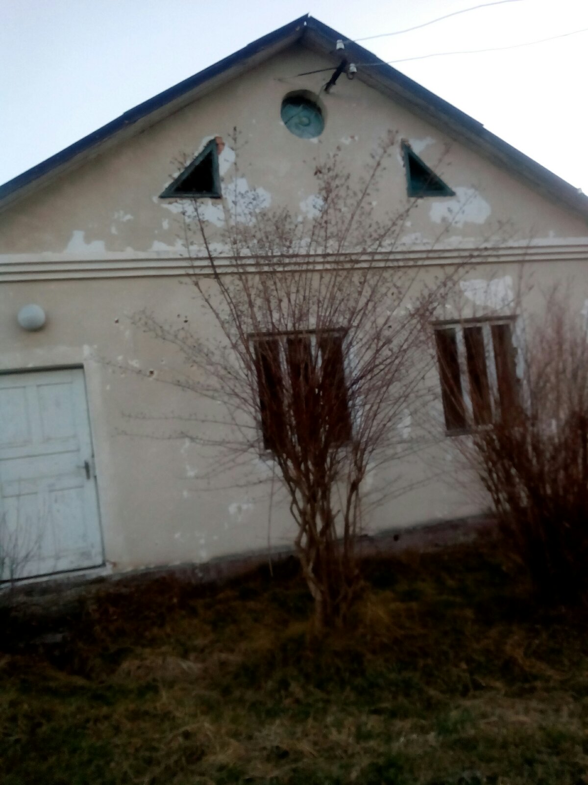 Яблунька5