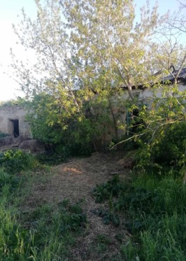 Рисунок5