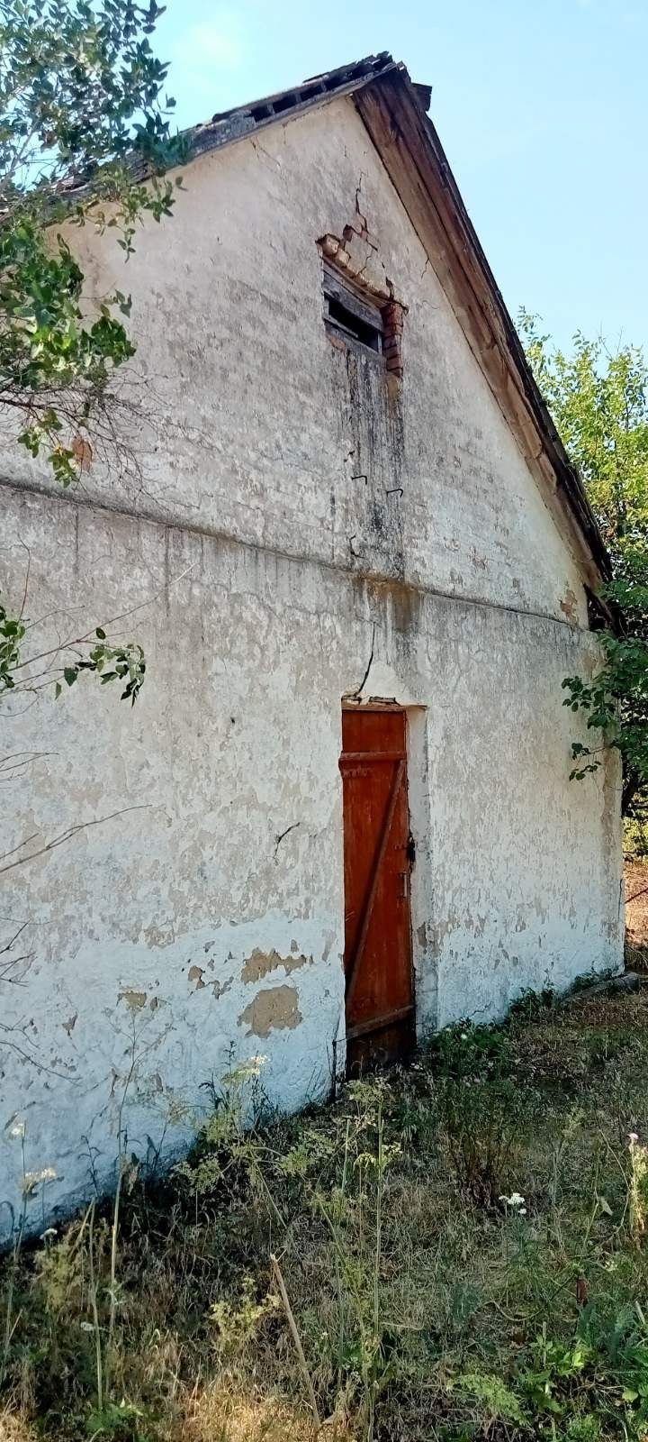RAS001-UA-20250619-14356-5