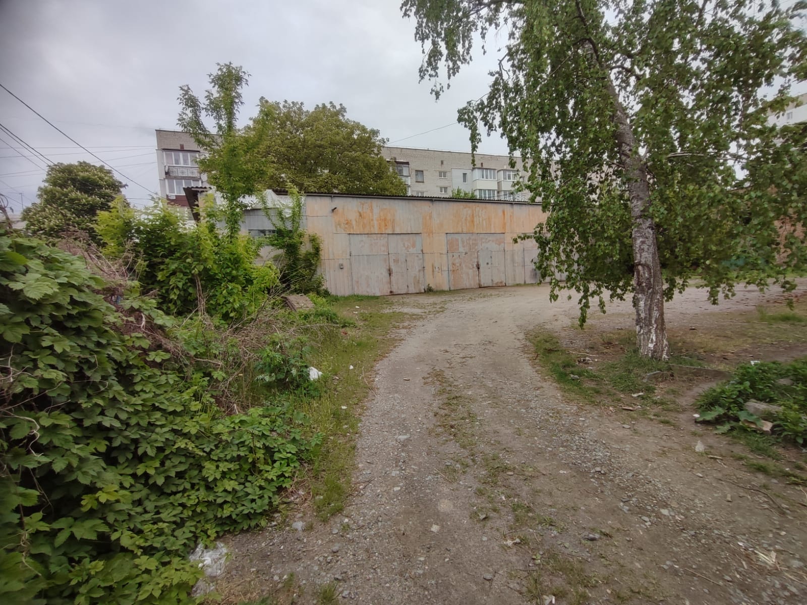 Зображення WhatsApp, дата_ 2025-05-15 о 16.26.35_35e82131