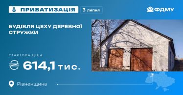 Будівля цеху деревної стружки на приватизаційному аукціоні Будівля цеху деревної стружки на приватизаційному аукціоні