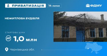 Нежитлова будівля на приватизаційному аукціоні Нежитлова будівля на приватизаційному аукціоні